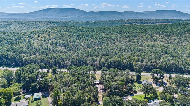 10092 Mockingbird Lane, Dardanelle, AR 72834