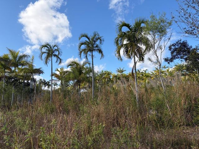 406 St & 212 Avenue 406 St & 212 Avenue, Florida City, FL 33034