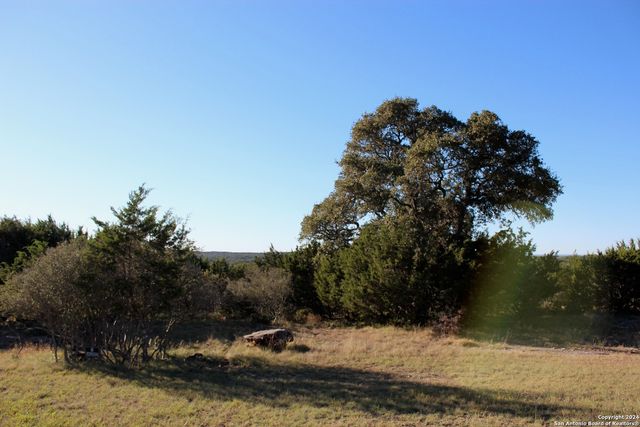 463 Lantana Mesa, Spring Branch, TX 78070