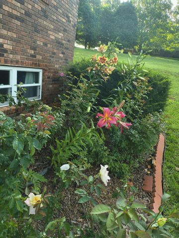 700 Owens Mill Road, Stockton, MO 65785