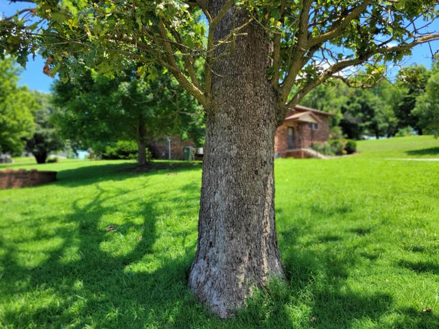 700 Owens Mill Road, Stockton, MO 65785