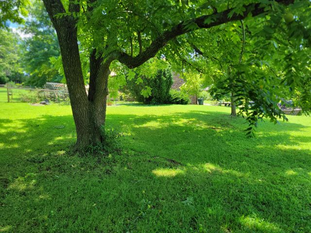 700 Owens Mill Road, Stockton, MO 65785