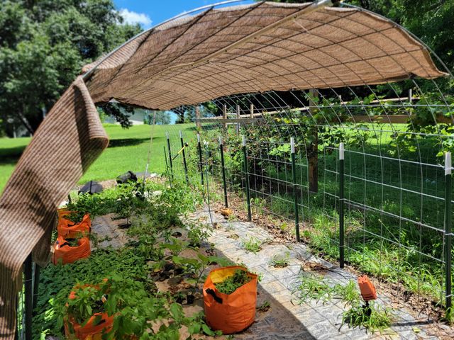 700 Owens Mill Road, Stockton, MO 65785