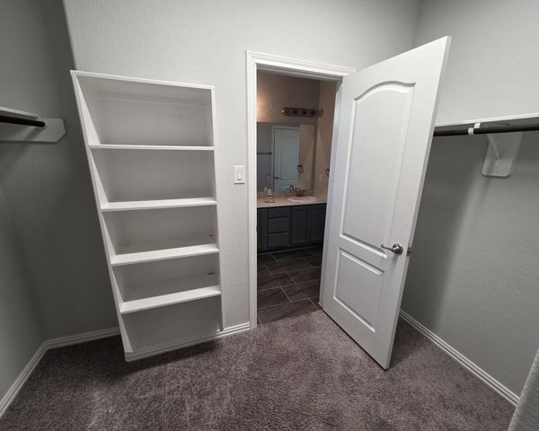 10401 Birch Peak Drive, Rosharon, TX 77583