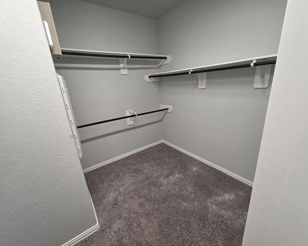 10401 Birch Peak Drive, Rosharon, TX 77583