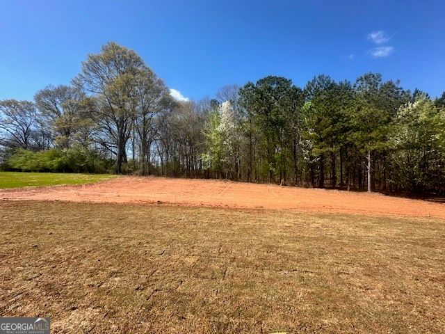 145 Paislee Park Drive 14, Fayetteville, GA 30215