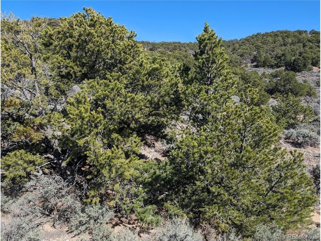 2131 Trujillo Rd, Fort Garland, CO 81133