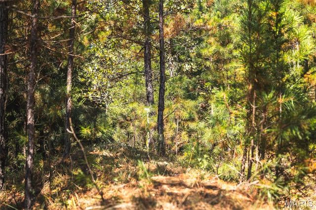 10110 Ashley Creek road, Unincorporated, MO 65560