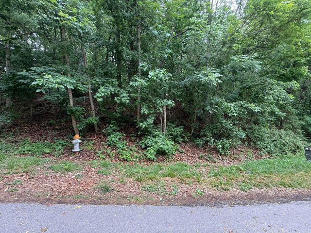 0 Waywood Hill DR, Vinton, VA 24179