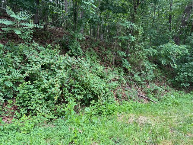 0 Waywood Hill DR, Vinton, VA 24179
