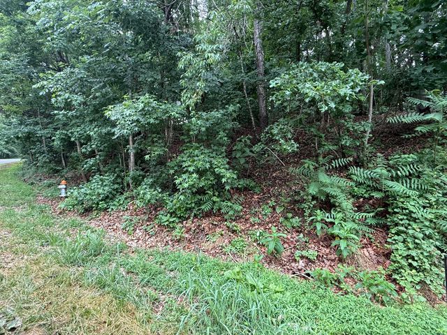 0 Waywood Hill DR, Vinton, VA 24179