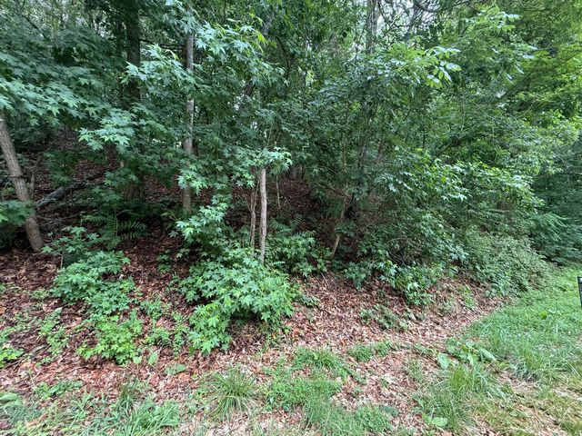 0 Waywood Hill DR, Vinton, VA 24179