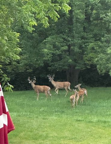 11 N 675 W, Valparaiso, IN 46385