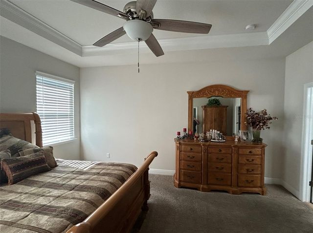 10647 HERON HIDEAWAY LOOP, Land O Lakes, FL 34638