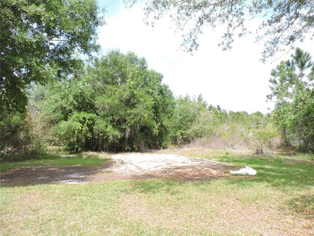 294 TIGER LAKE ROAD, Lake Wales, FL 33898