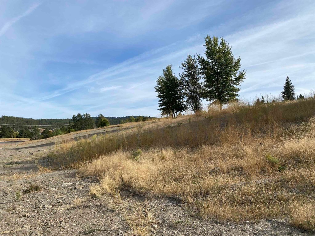 11XXX S Sands Rd, Spokane Valley, WA 99206 photo 12