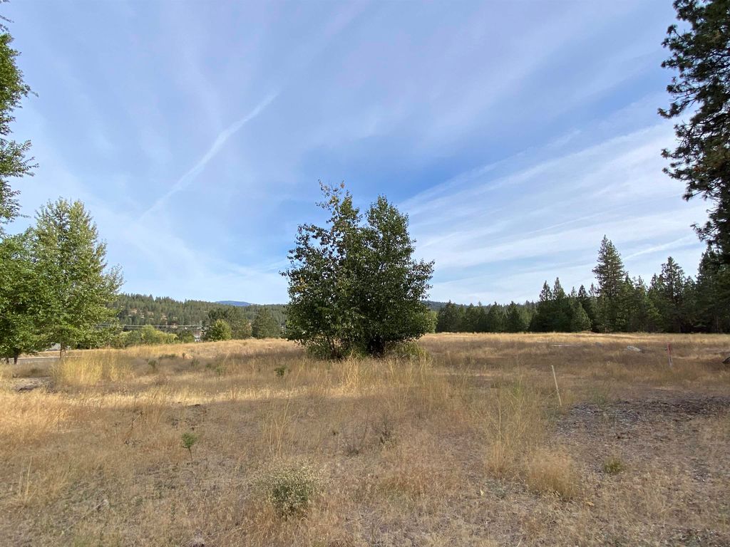 11XXX S Sands Rd, Spokane Valley, WA 99206 photo 9
