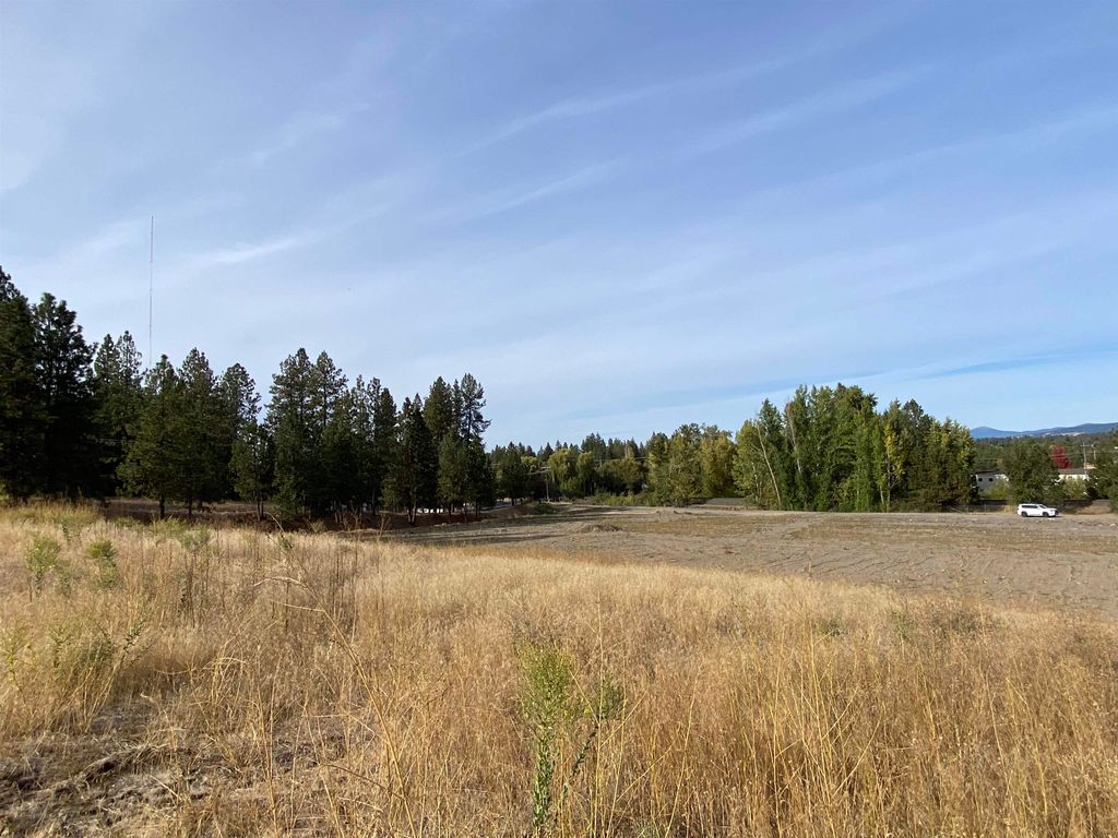 11XXX S Sands Rd, Spokane Valley, WA 99206 photo 10