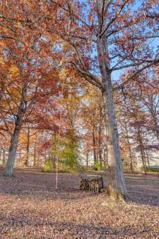 7315 McCormick Drive, Fairview, TN 37062