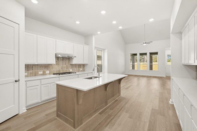 13039 Wandering Ridge Lane, Conroe, TX 77302