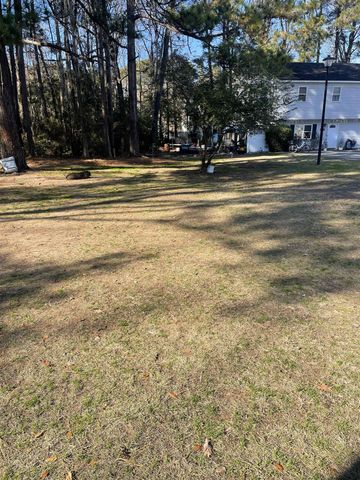 TBD Lomax Ct., Murrells Inlet, SC 29576