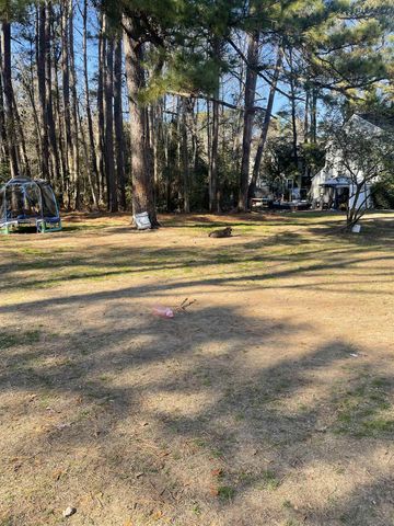 TBD Lomax Ct., Murrells Inlet, SC 29576