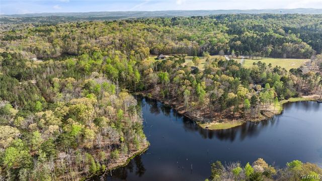 14530 Lost Lake, Tuscaloosa, AL 35405