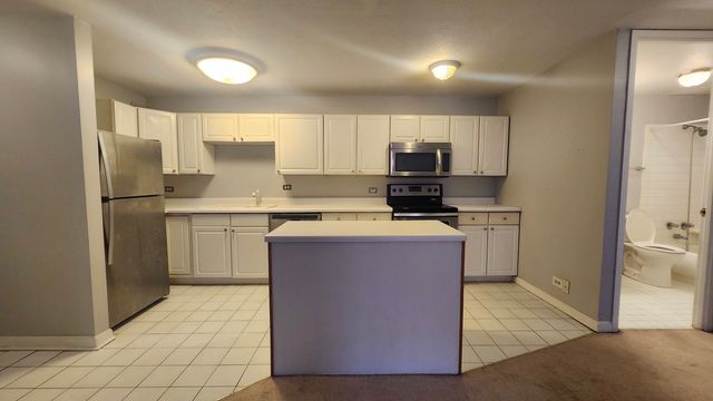 1339 N Dearborn Street 4C, Chicago, IL 60610