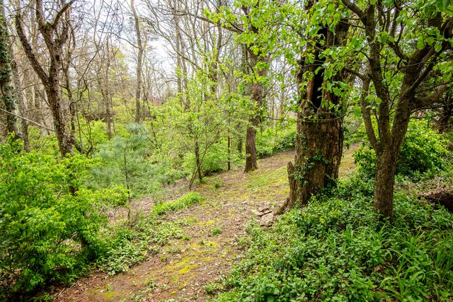 124 Lincoln Street, Lookout Mountain, TN 37350