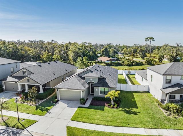 11245 PADDOCK MANOR AVENUE, Riverview, FL 33569