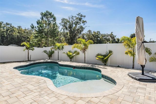 11245 PADDOCK MANOR AVENUE, Riverview, FL 33569