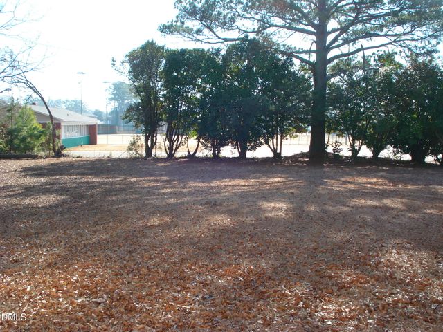 202 N Wayne Avenue, Dunn, NC 28334