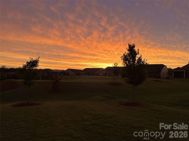 311 Conservancy Drive, Belmont, NC 28012