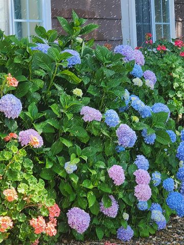 7505 Baldwin St, Valley Springs, CA 95252