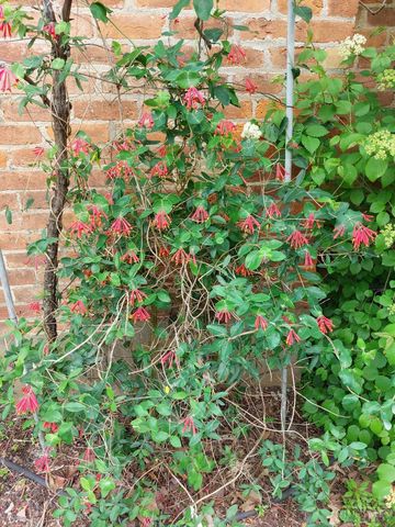 55 Forest Avenue, Wyoming, OH 45215