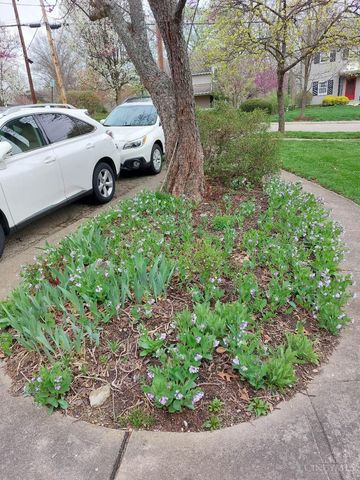 55 Forest Avenue, Wyoming, OH 45215