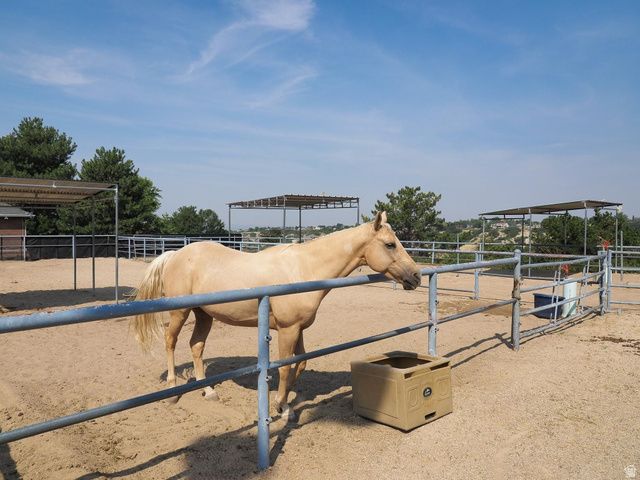 10703 S DIMPLE DELL DR, Sandy, UT 84092