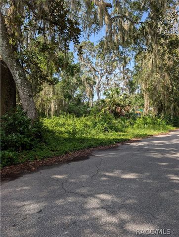 6650 N Beechnut Loop, Hernando, FL 34442