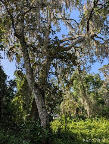6650 N Beechnut Loop, Hernando, FL 34442