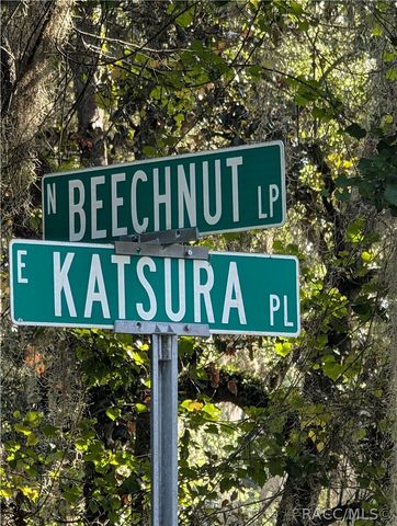 6650 N Beechnut Loop, Hernando, FL 34442