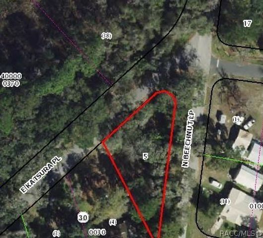6650 N Beechnut Loop, Hernando, FL 34442