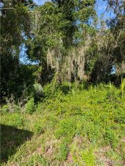 6650 N Beechnut Loop, Hernando, FL 34442