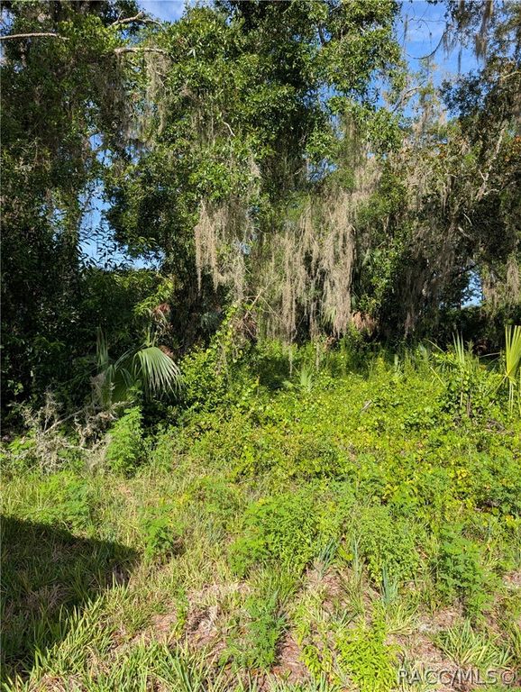 6650 N Beechnut Loop, Hernando, FL 34442