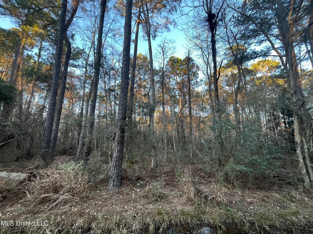 Lot 37-38 E Greene Street, Bay Saint Louis, MS 39520