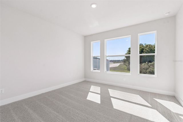 28780 JUJUBE ROAD, Wesley Chapel, FL 33543