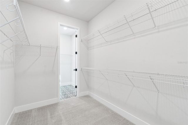 28780 JUJUBE ROAD, Wesley Chapel, FL 33543