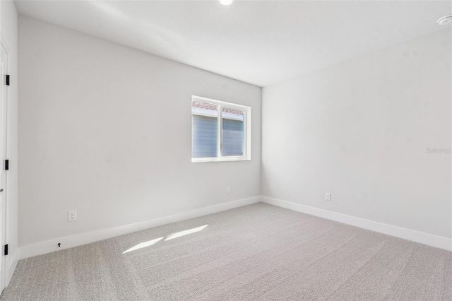 28780 JUJUBE ROAD, Wesley Chapel, FL 33543