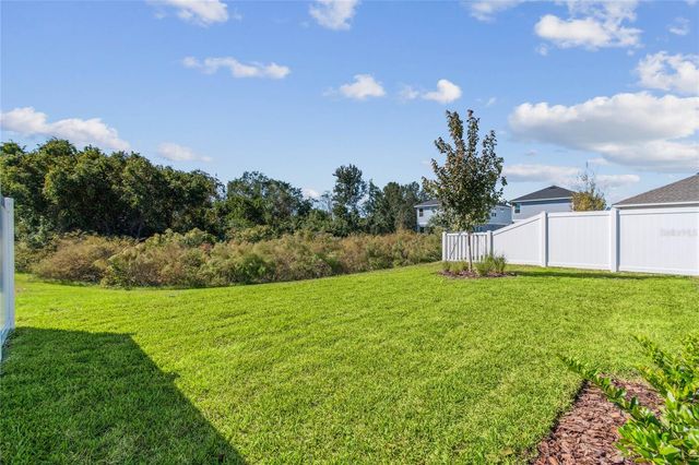 28780 JUJUBE ROAD, Wesley Chapel, FL 33543