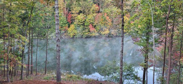 382 Pocaset Drive, Ellijay, GA 30540