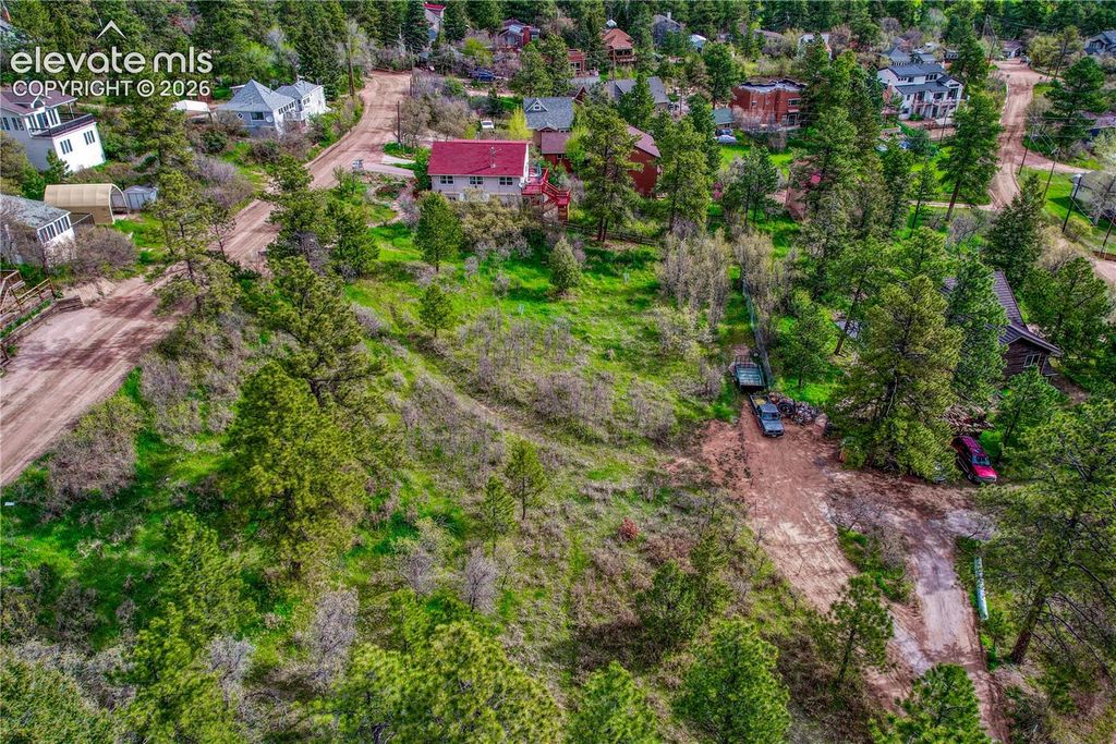 Buena Vista Avenue, Palmer Lake, CO 80133 — exterior